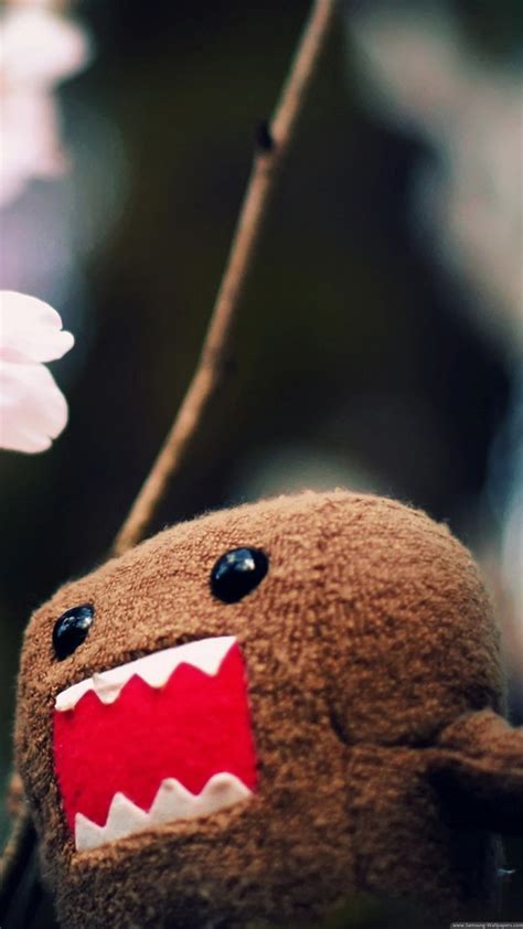 Domo Wallpaper 66 Images