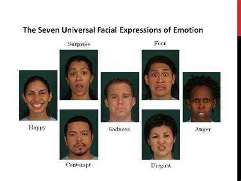 Rups 2009 Emotion Recognition Facial Recognition Feelings And
