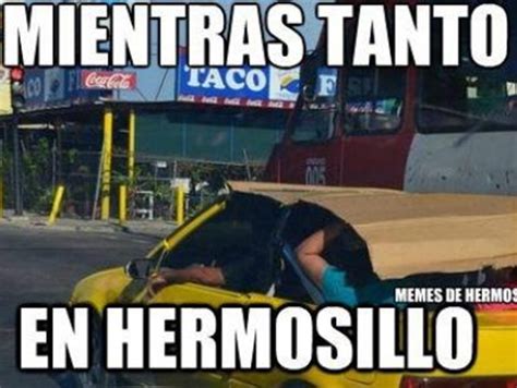FotogalerÍa Los Memes Por El Calor En Hermosillo Hermosillo Registra