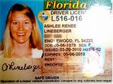 Louisiana Dmv Drivers License Check Pictures