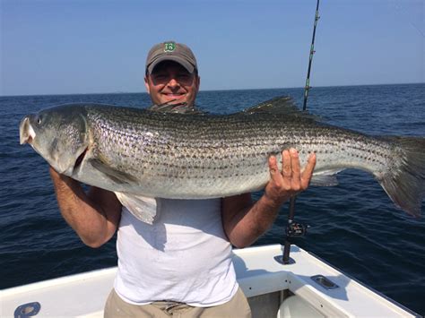 Massachusetts Fishing Report 7 3 14 On The Water