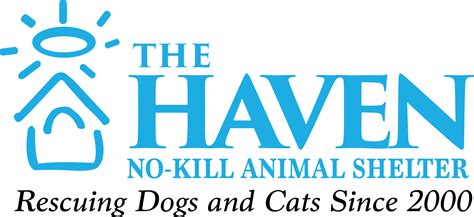 Pet Of The Week The Haven No Kill Animal Shelter