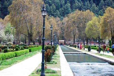 Travel Recommendations By Amit Raina Srinagar The Summer Capital Of