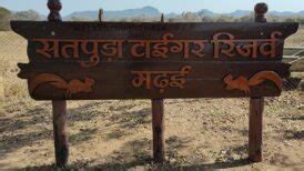 How To Reach Bandhavgarh National Park