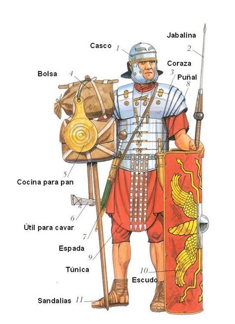Legiones Romanas Quienes Eran Caracteristicas Rangos Y Tacticas