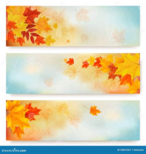 Three Abstract Autumn Banners With Color Leaves Stock Vector