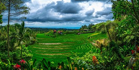 Photos Indonesia Bali Nature Fields Tropics Clouds
