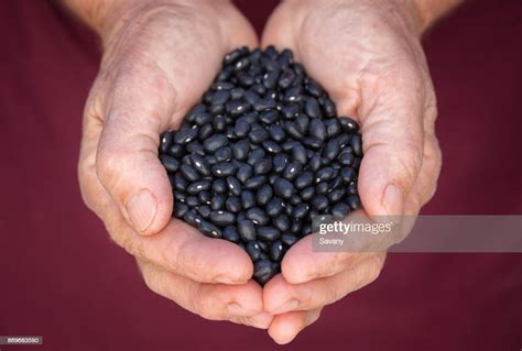Black Beans High Res Stock Photo Getty Images