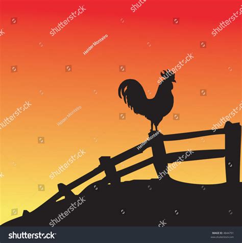 Rooster Silhouette On Fence At Sunset Stock Vector Illustration 4844791