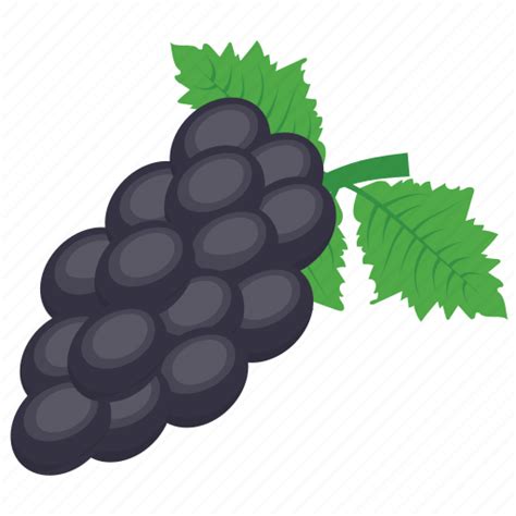 Black grapes, concord grapes, grapes, seedless fruit, slipskin grapes icon