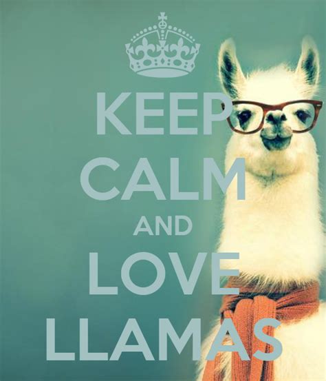 Keep Calm And Love Llamas Poster Pala Keep Calm O Matic
