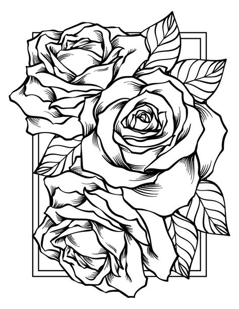 24 Simple Pink Rose Drawing Linusyiting