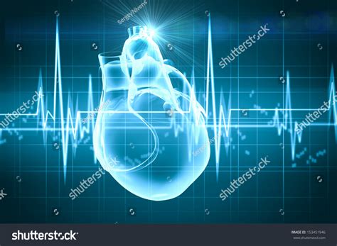 Virtual Image Human Heart Cardiogram Stock Illustration 153451946