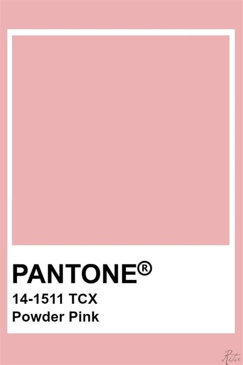 Coral Pantone Paleta Pantone Pantone Tcx Pantone Palette Pantone Swatches Pantone Colour