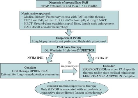 Management Of Pulmonary Veno Occlusive Disease Pvod At The French