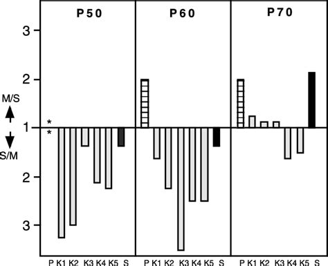 Reverse transcriptase enzyme transcribes the template rna and forms complementary dna (cdna). Results from RT-PCR on membrane and secreted forms of ...