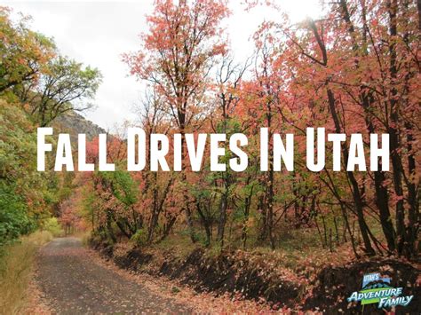 Fall Drives in Utah | Utah adventures, Utah vacation, Utah 