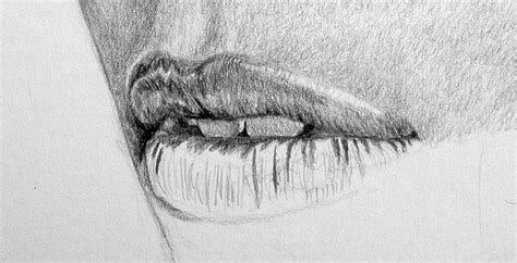 Free Photorealistic Pencil Drawing Tutorial By Carlos Aleman Lippencil