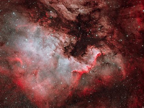 Nebulae Ngc7000 North American Nebula And The Cygnus Wall In Bicolour
