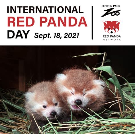 Red Panda Day