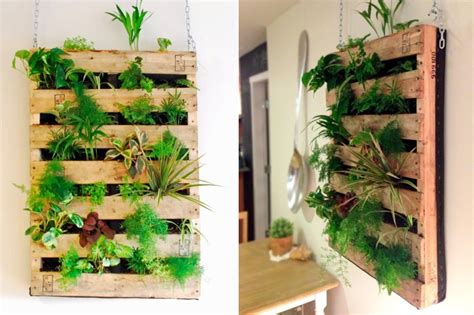 Remember when vertical gardens first hit the scene? Indoor Vertical Garden: How to Grow & Things to Consider