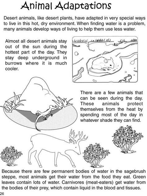 Animal Adaptation Worksheet Grade 3