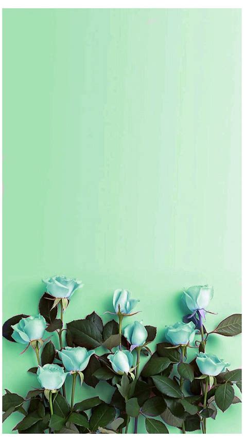 40 Mint Green Wallpaper Backgrounds For Iphone Mint Green Wallpaper