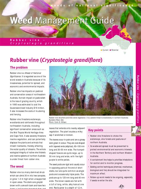 Illustrated travel cultural guide paperback books. Rubber Vine Mgt Guide | Herbicide | Biological Pest Control