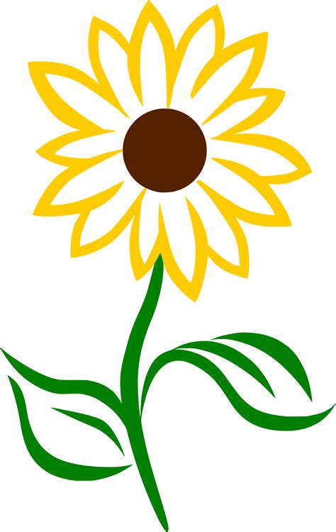 FREE Sunflower SVG | Sunflower svg, Free sunflower svg, Sunflower