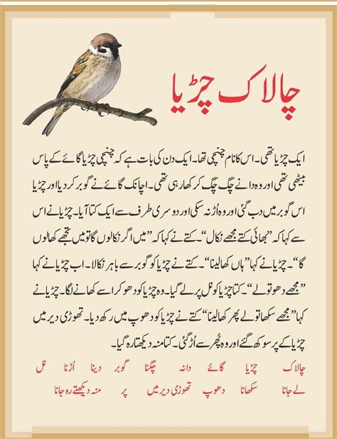 Pin On Stories In Urdu