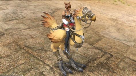 Can We Please Get This Chocobo Barding