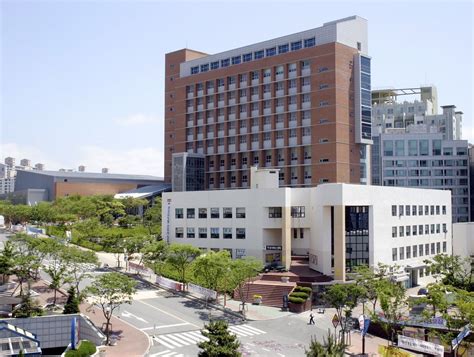 Universities In Busan South Korea For International Students