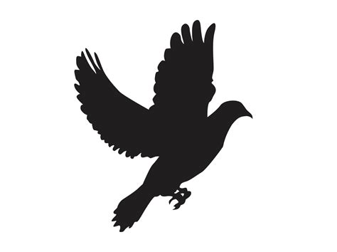Bird Flying Dove Silhouette 12904477 Png