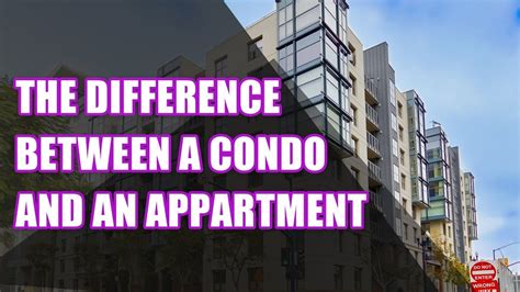 Should You Rent A Condo Or An Apartment My Decorative