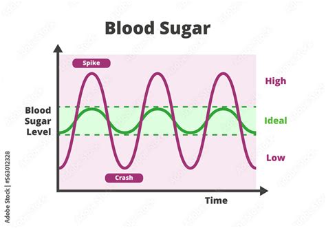 Blood Sugar Chart Isolated On A White Background Blood Sugar Balance