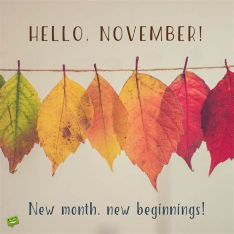 Hello November Hello November New Month And New Beginnings