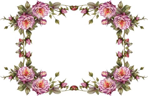 Floral Frame Png Transparent Image Download Size 1835x1186px