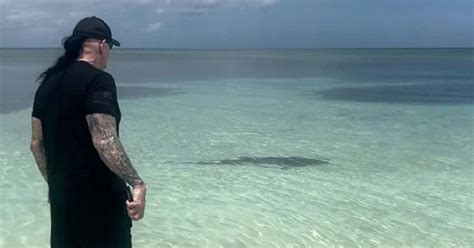 Watch Wwe Legend The Undertaker Displays Fearlessness Protects Wife From Shark Encounter At Beach