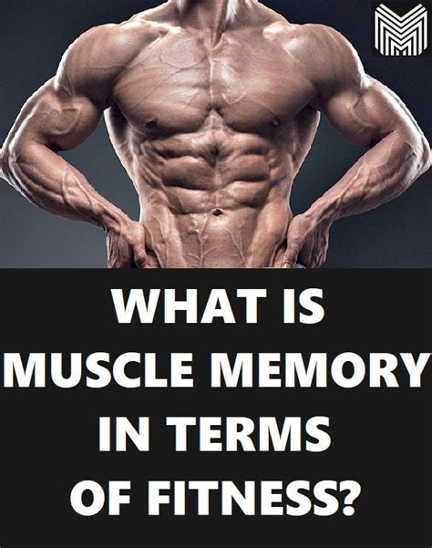 Muscle Memory In Fitness Muscle Memory Fitness Tips For Men Memories