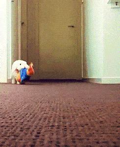 Discover & share this bugs bunny gif with everyone you know. Bunny GIF - Find & Share on GIPHY