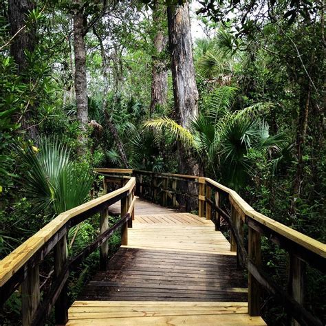 11 Perfect Fall Hikes You Must Do In South Florida Narcity Hiking In