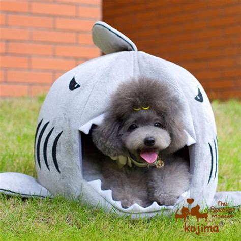 Shark Attack Dog Bed Shut Up And Take My Money