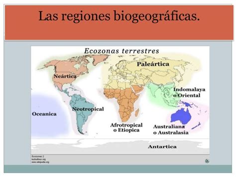 Regiones Biogeograficas Trabajo