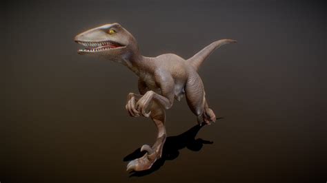 Sfm Velociraptor 3d Model Free My Xxx Hot Girl