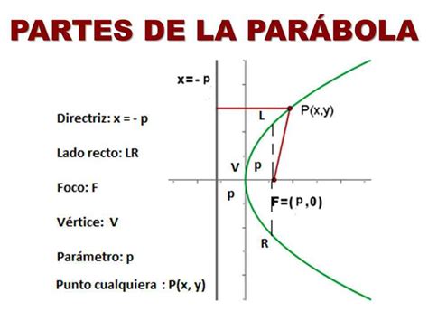 Partes De La Parábola