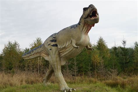T レックス ティラノサウルス 恐竜 Pixabayの無料写真