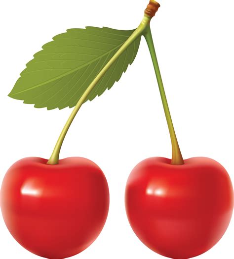 Red Cherry Png Image Free Download