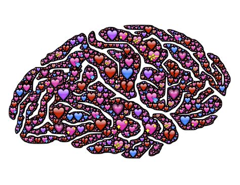 Brain Hearts Love Free Image On Pixabay