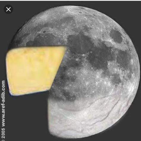 What If The Moon Were Made Of Cheese Mastery Wiki