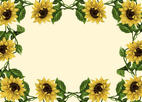 Printable Sunflower Border Printable Word Searches